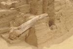 PICTURES/The Mammoth Site/t_Femur1a.jpg